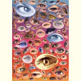 Das Augenbuch /Augen Augen Augen