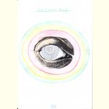 Das Augenbuch /Escher-Auge